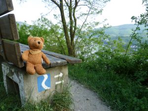 Reisebär Rheinsteig